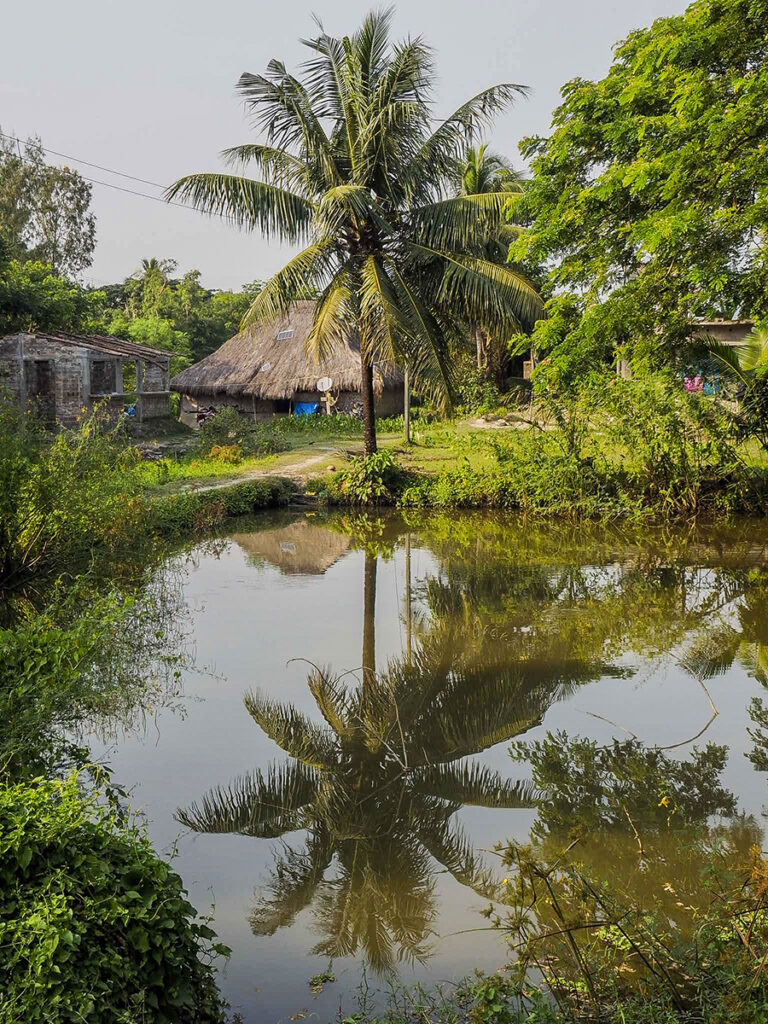 Sundarbans
