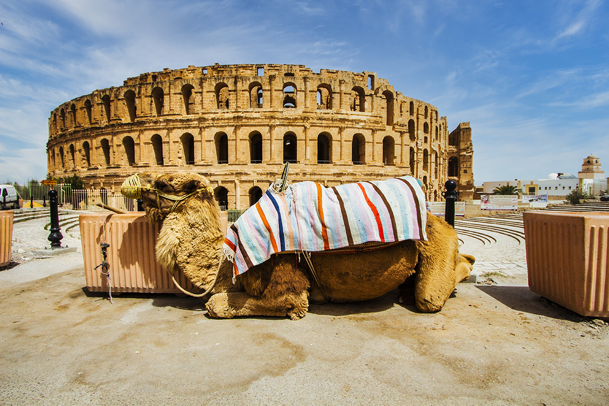 EL JEM