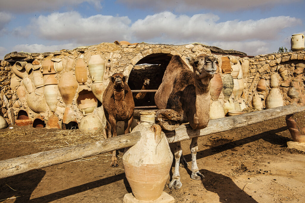 ALFARERIA EN DJERBA