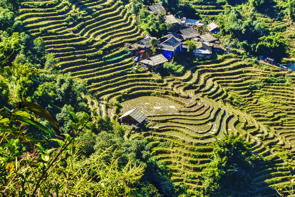 Mai Chau campos de arroz