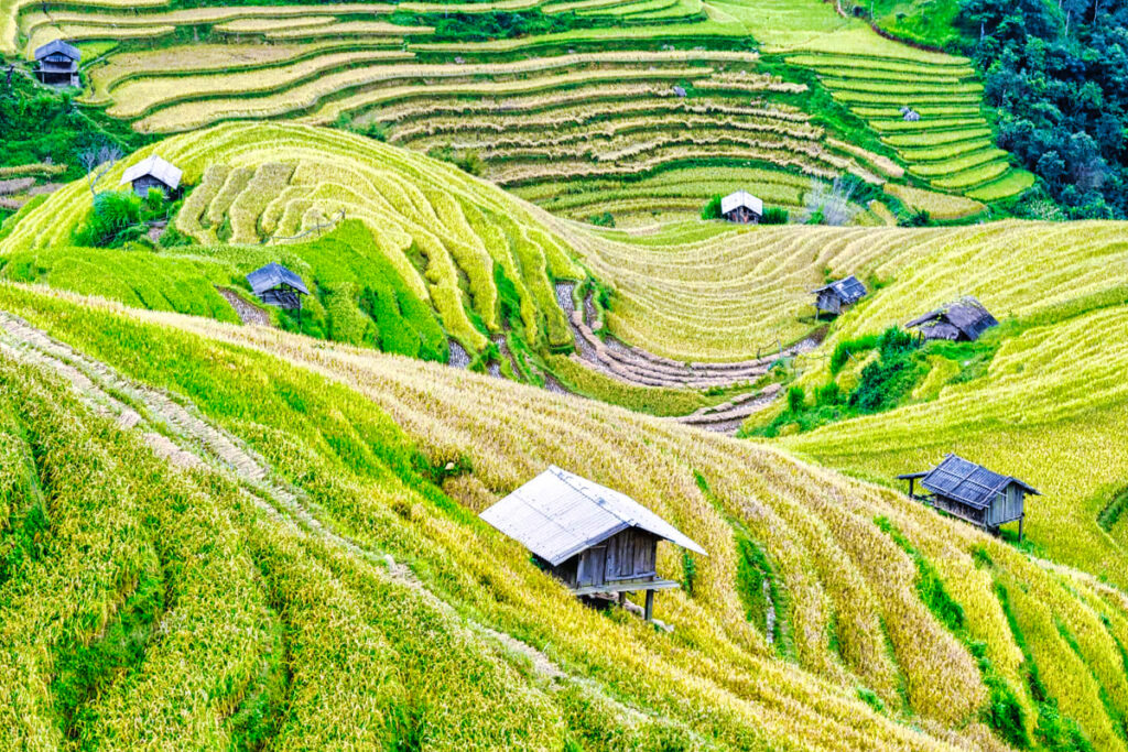 Mai Chau