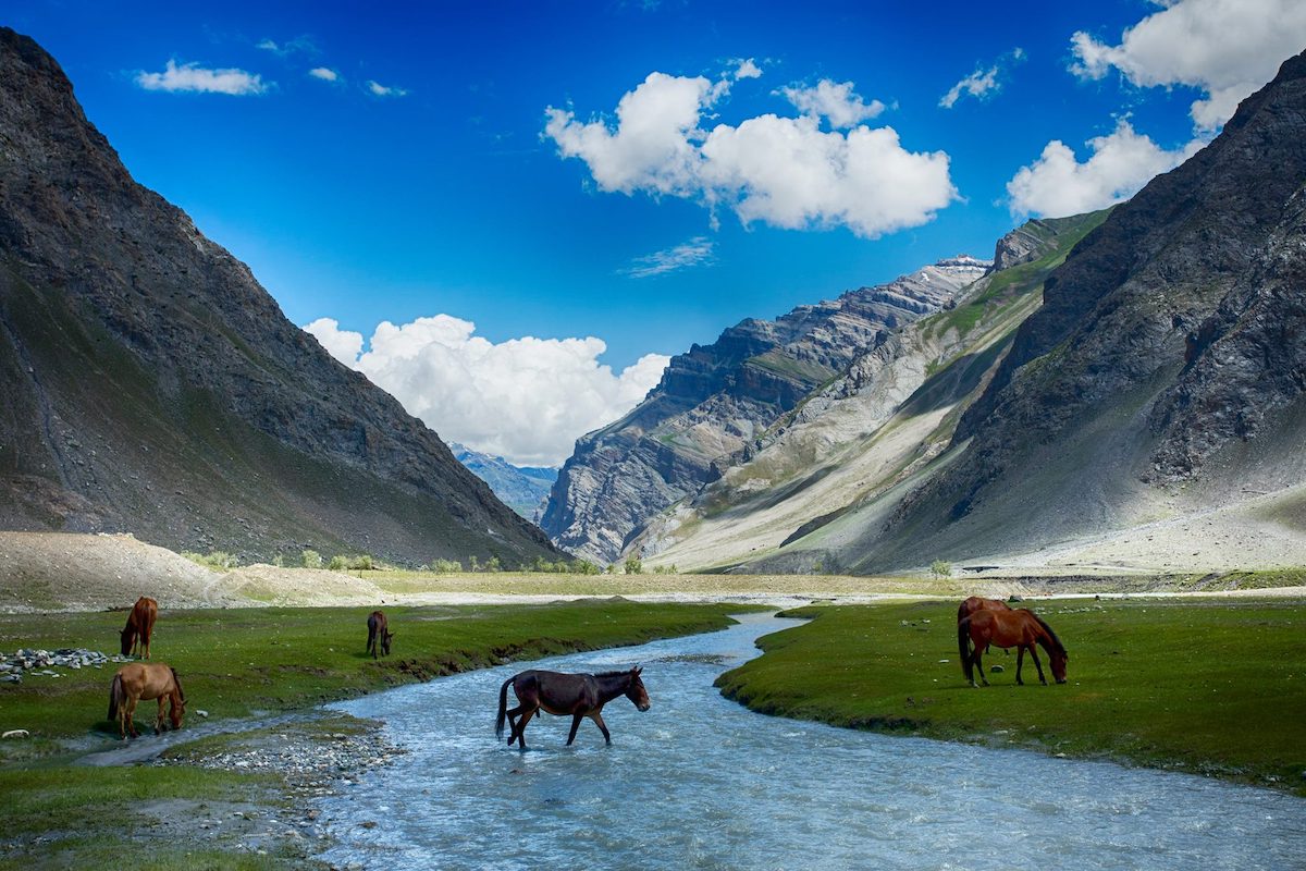 Ladakh La Tierra de los Altos Puertos