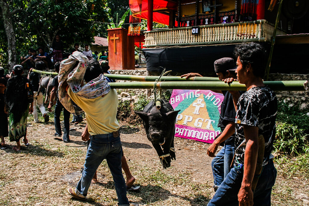 Maros situada en el sur de Sulawesi