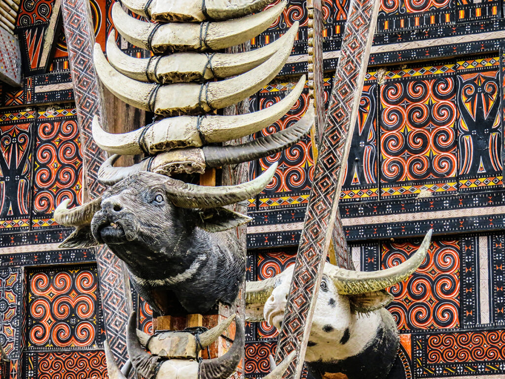 EXPEDICION FOTOGRAFICA A SULAWESI & JAVA