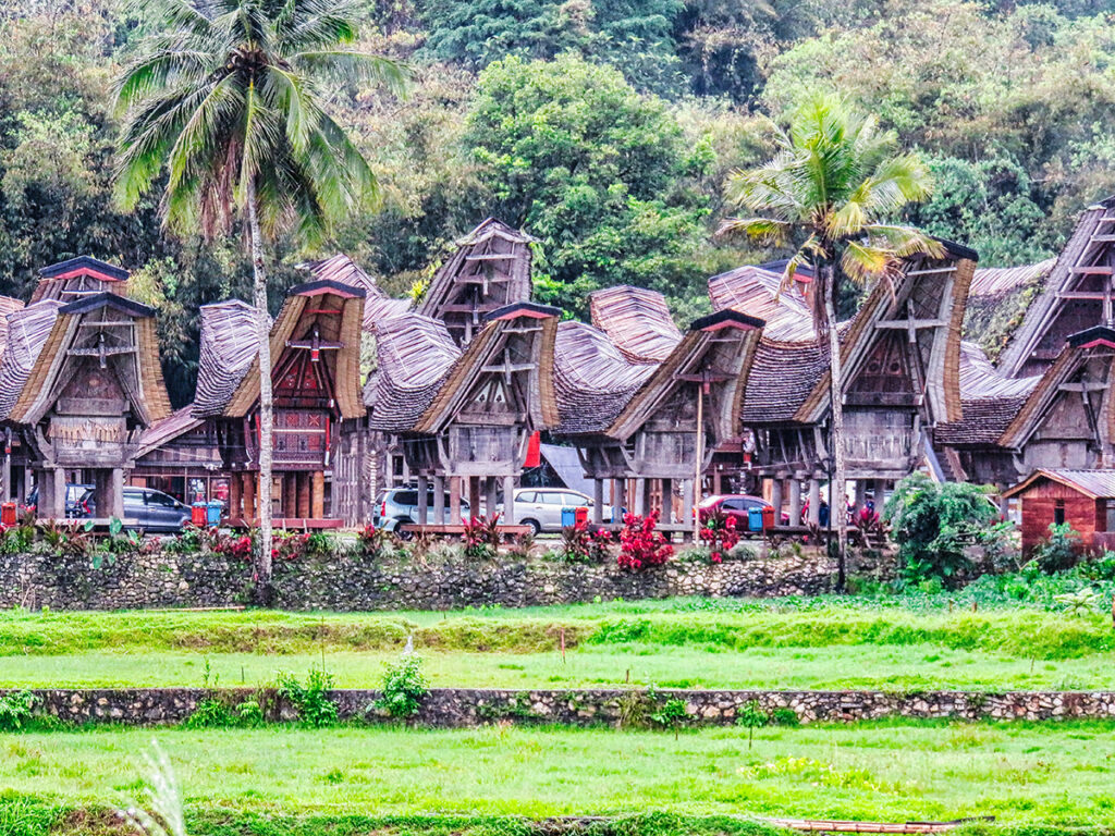 EXPEDICION FOTOGRAFICA A SULAWESI & JAVA 