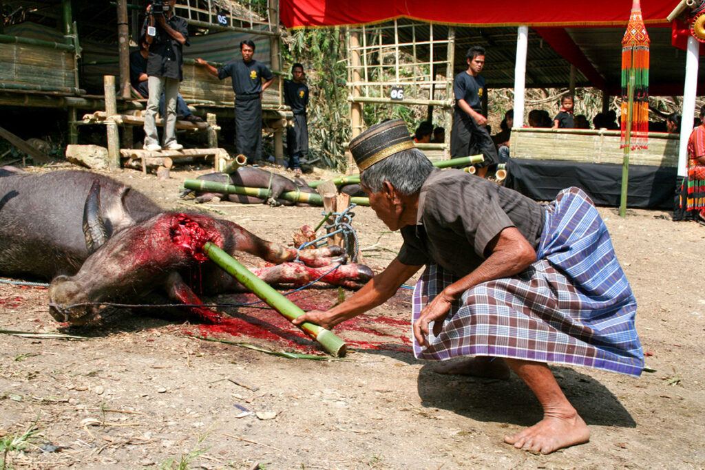 EXPEDICION FOTOGRAFICA A SULAWESI & JAVA