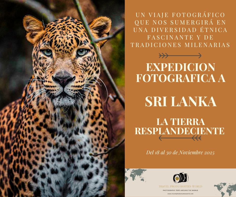 Expedición fotográfica a Sri Lanka