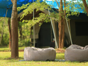 Wilpattu- Big Game Camping