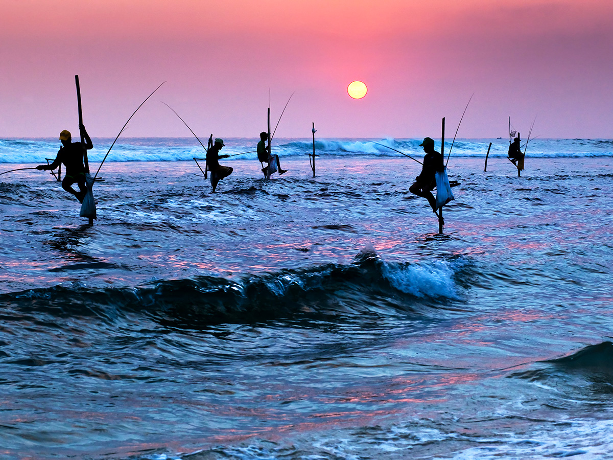 pescadores sobre zancos en Weligama