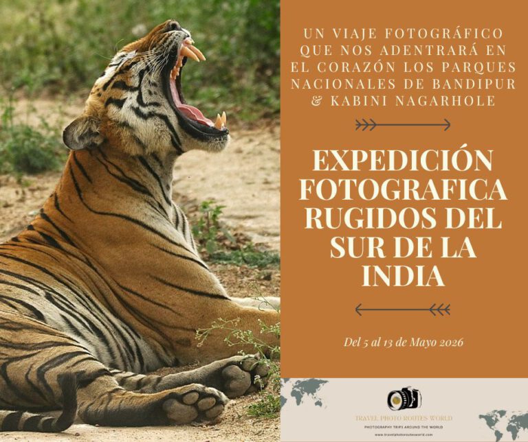 Expedición Fotográfica a los Parques Nacionales de Bandipur y Kabini Nagarhole – India