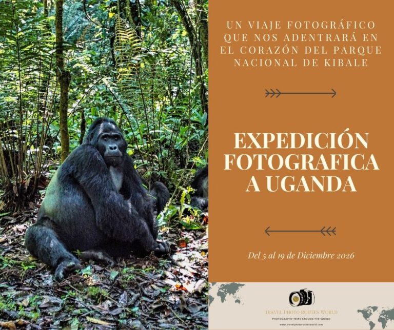 Expedición Safari a Uganda